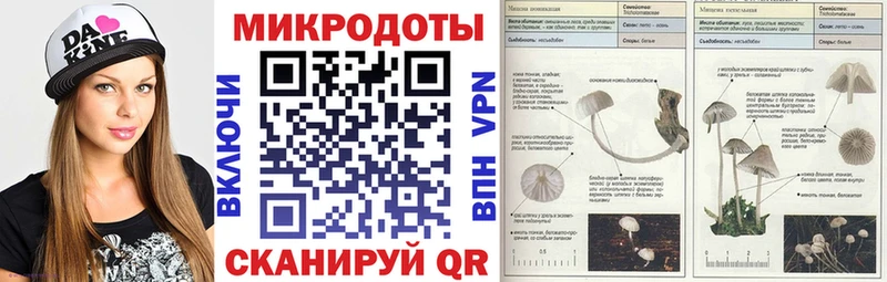 Галлюциногенные грибы Psilocybe  Лабытнанги 