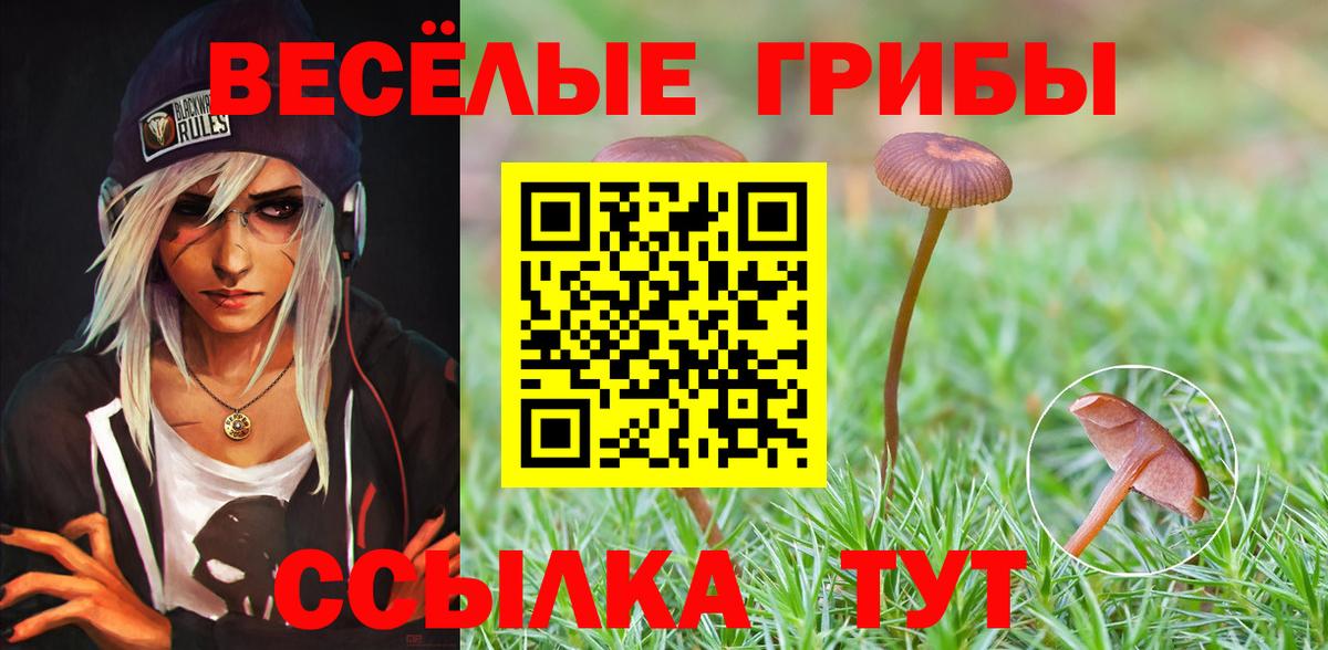 Псилоцибиновые грибы Psilocybine cubensis  Вход с VPN  Лабытнанги 